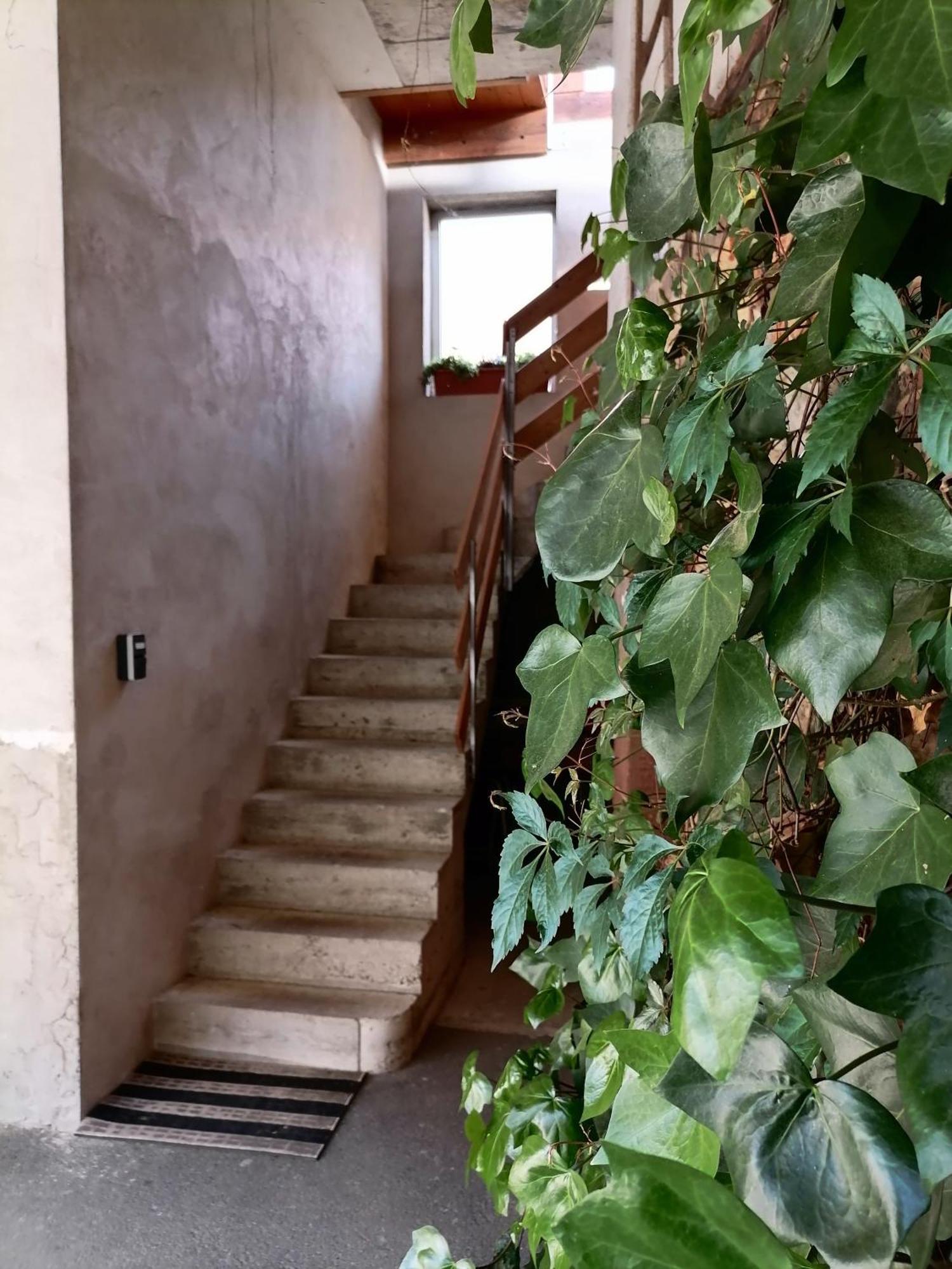 Appartement Et Terrasse Privee Ingolsheim Exterior foto