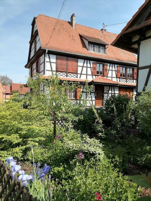 Appartement Et Terrasse Privee Ingolsheim Exterior foto